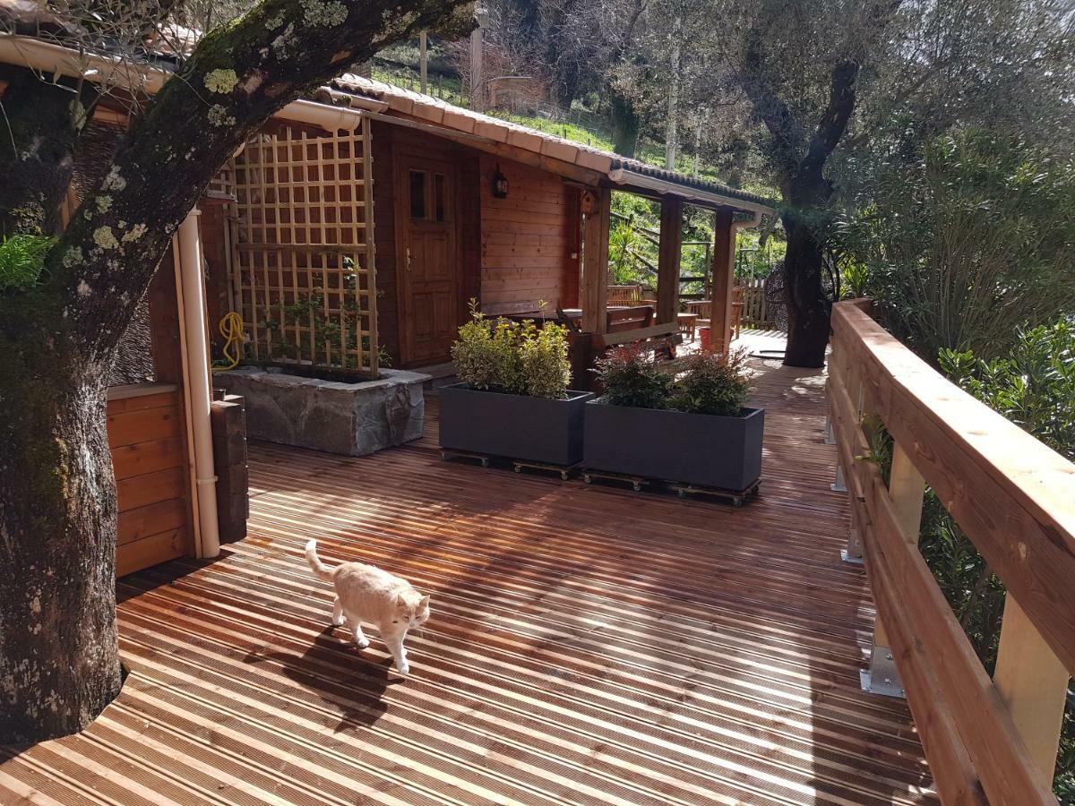Le Chalet De Valentine & Laurent Olmiccia Luaran gambar